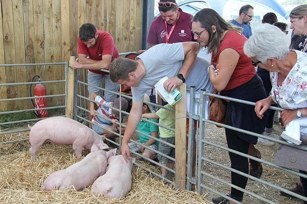 - Vendée. Découvrez le monde agricole lors d'une grande fête à Saint-Georges-de-Pointindou ce - Revue de presse des artificiers